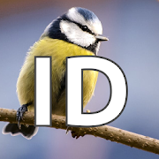 ObsIdentify - Vogels ObsIdentify - Vogels