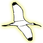 Vogelgeluiden Vogelgeluiden