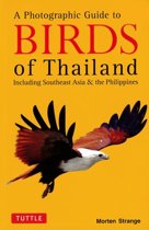 Photographic Guide to the Birds of Thailand, ebook Photographic Guide to the Birds of Thailand, ebook