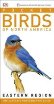 American Museum of Natural History