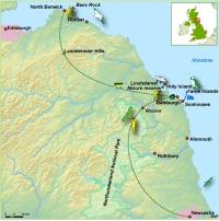 Groot-Brittannië - Engelse Noordzeekust - vogelreis, 6 dagen Zeevogels van slikken, duinen en kliffen