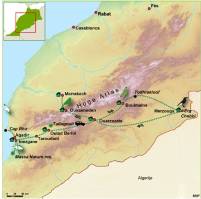 Marokko - Vogelreis, 13 dagen De vogelrijkdom van de Maghreb