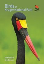 Birds of Kruger National Park Birds of Kruger National Park