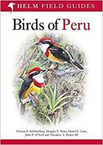 Birds of Peru