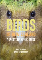 Birds of New Zealand