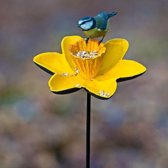 Vogelvoederplek Narcis - 17 x 77 cm